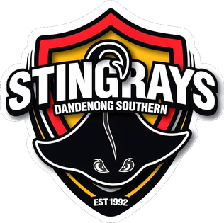 Southern Stingrays